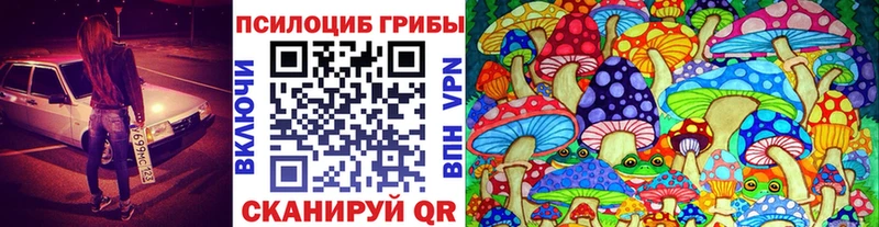 Купить  Ершов  Галлюциногенные грибы мицелий 